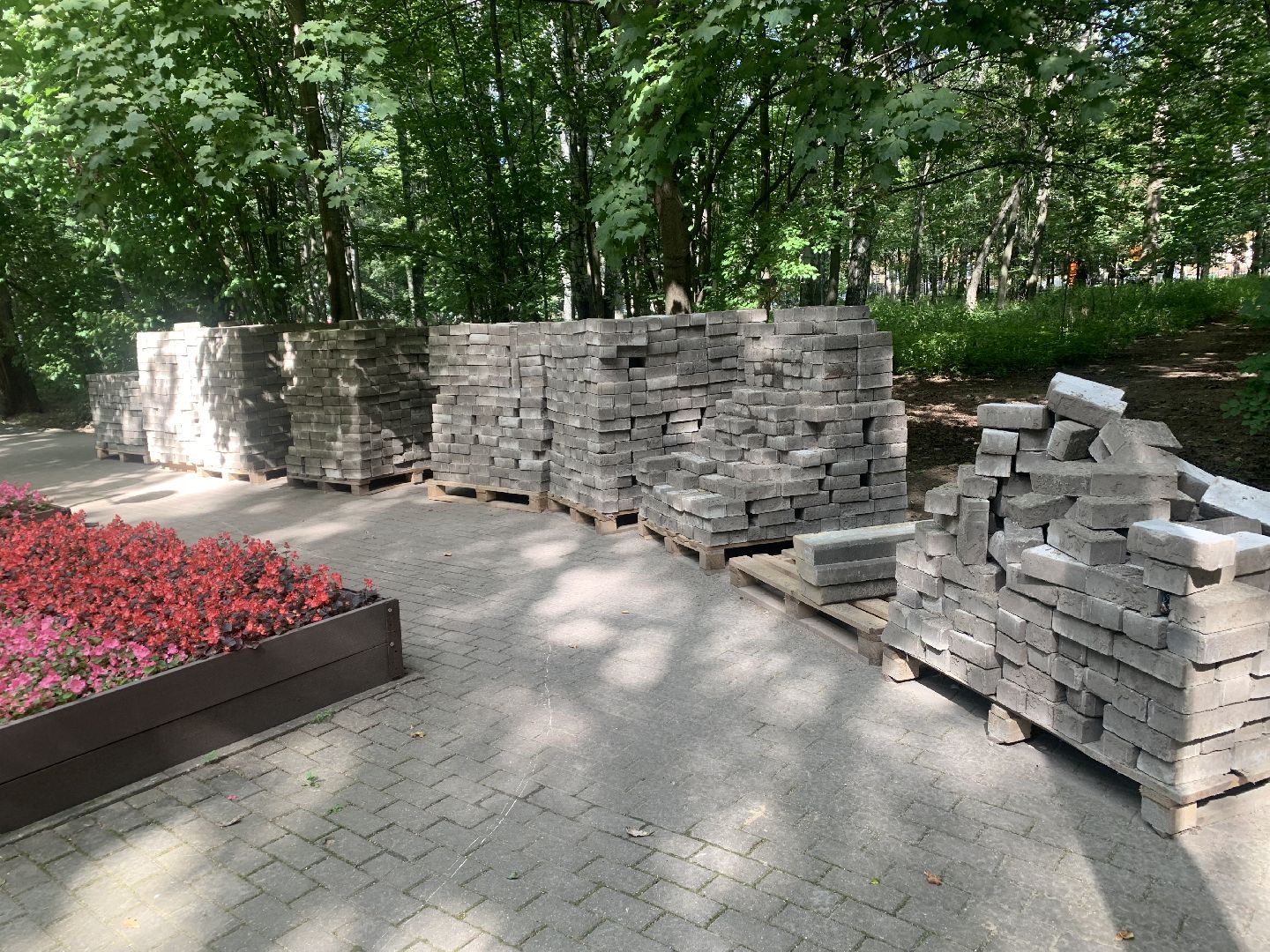 Дети, развитие, лето в подмосковье, благоуйстройство,