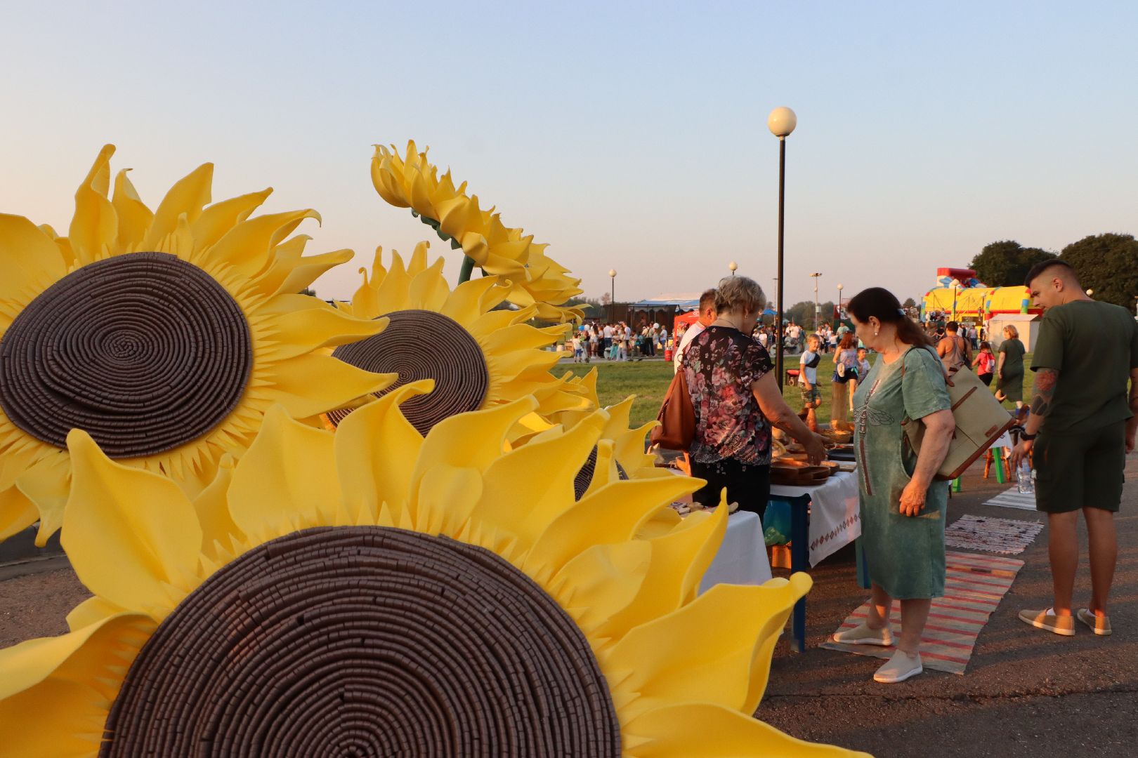 Серебряные Пруды, День города