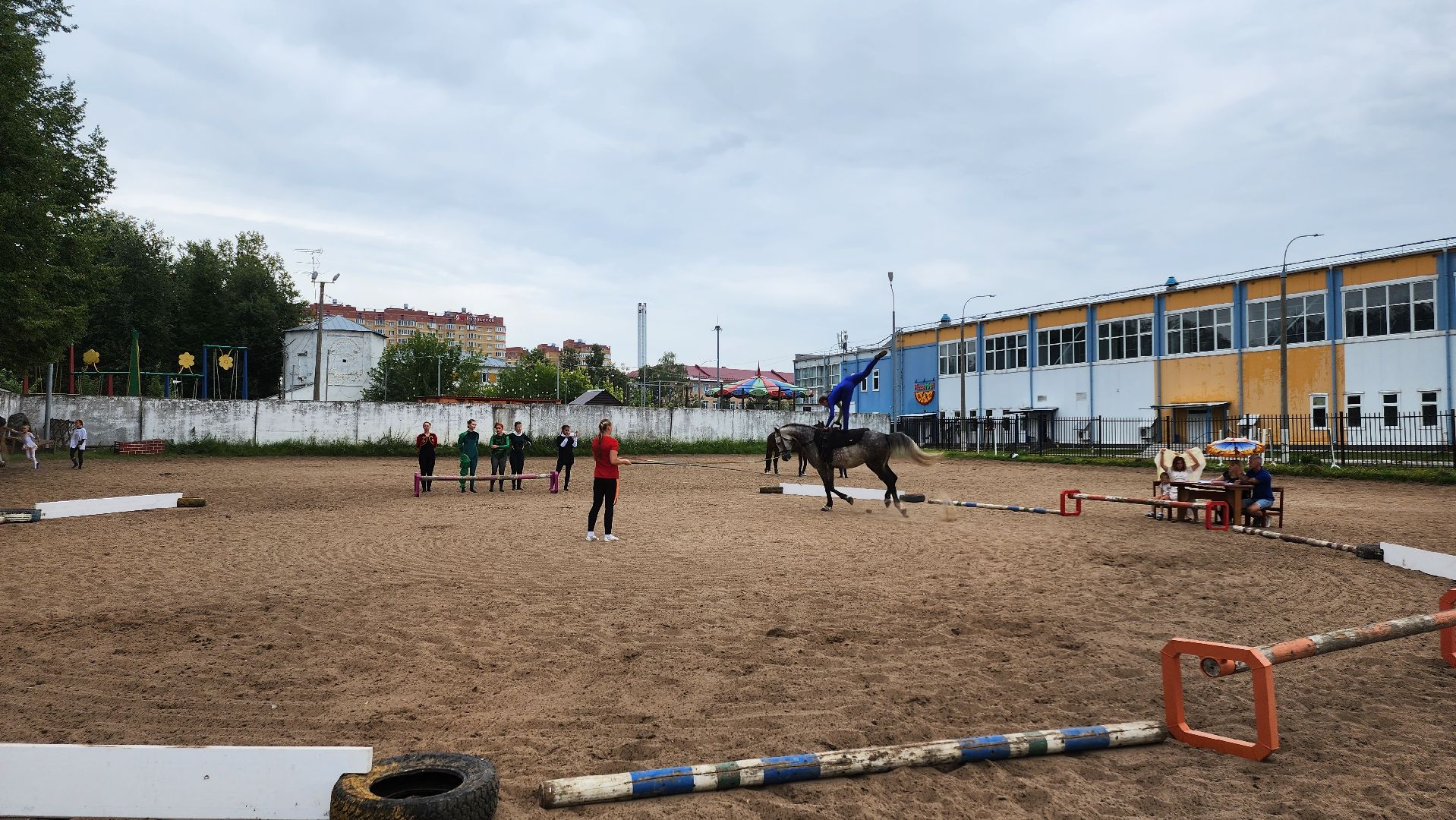 Егорьевск, животные, спорт, подмосковье, соревнования, лошади, конный спорт,