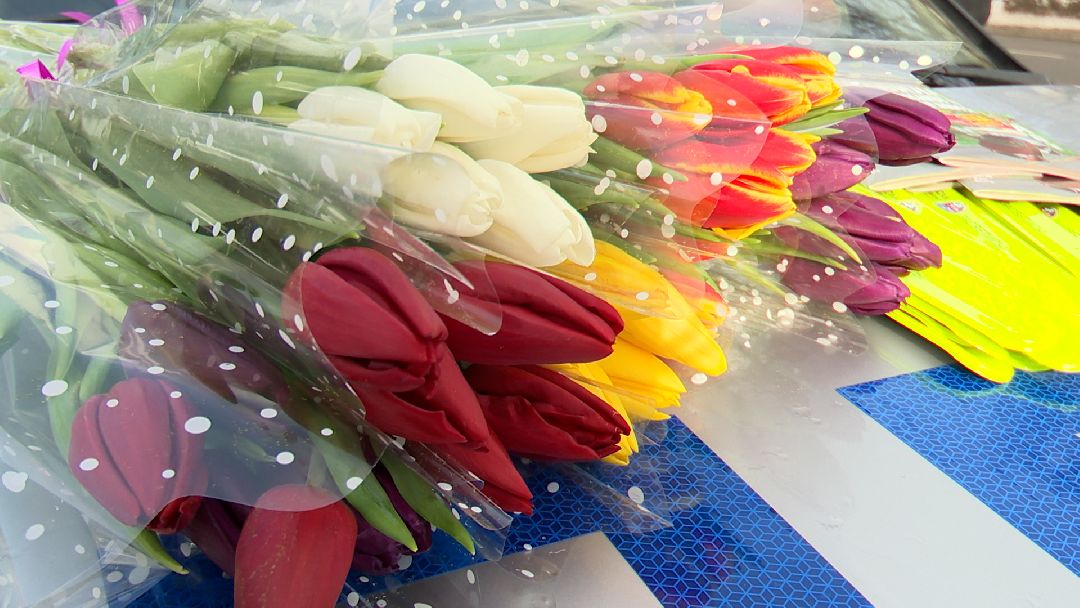 ГИБДД, Цветы для автоледи, женщина за рулем, нарушение, ПДД, водитель, Реутов