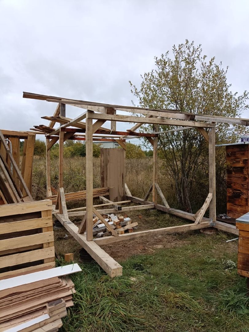 Балашиха, Подмосковье, люди, экономика, самозанятые, медовое производство, пасека