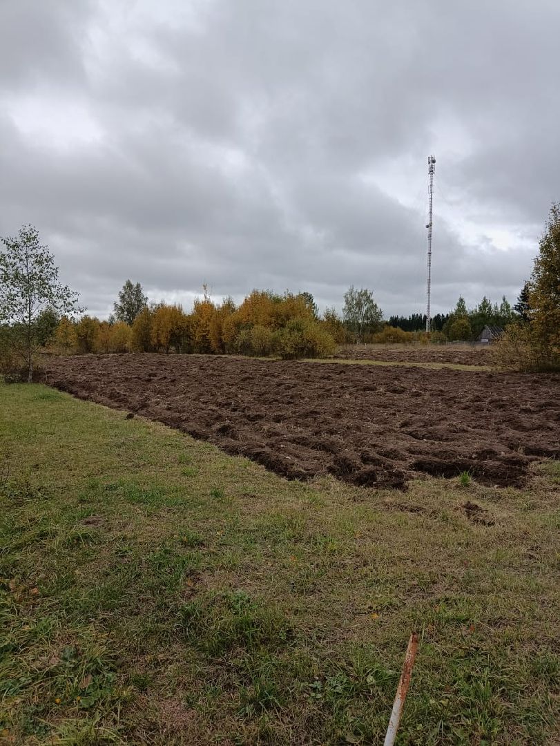 Балашиха, Подмосковье, люди, экономика, самозанятые, медовое производство, пасека