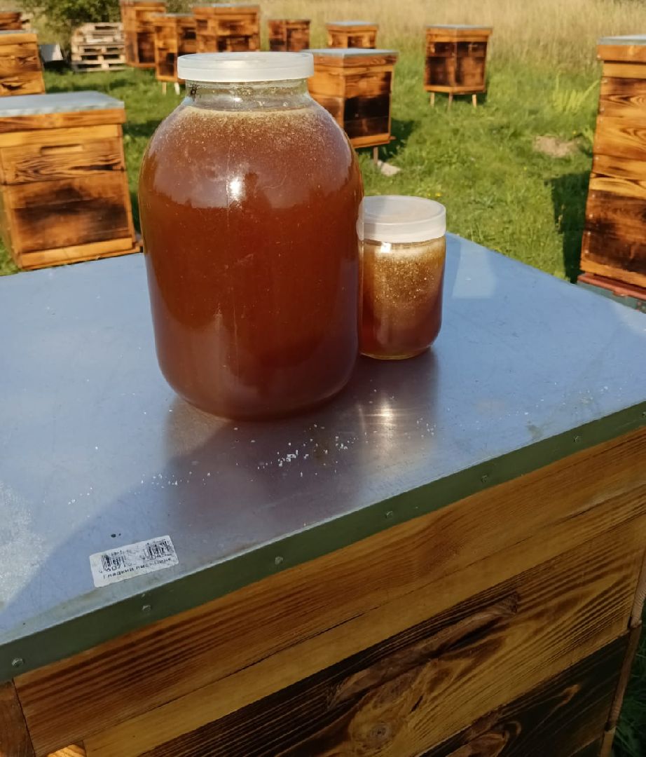 Балашиха, Подмосковье, люди, экономика, самозанятые, медовое производство, пасека