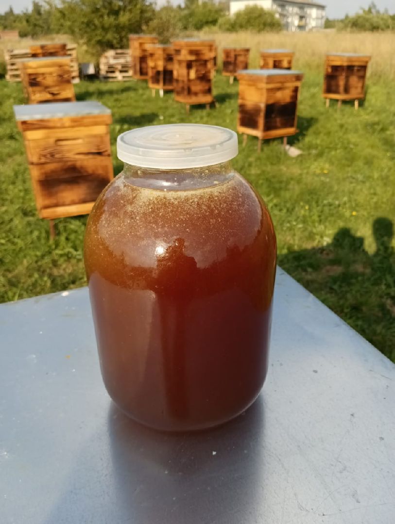 Балашиха, Подмосковье, люди, экономика, самозанятые, медовое производство, пасека