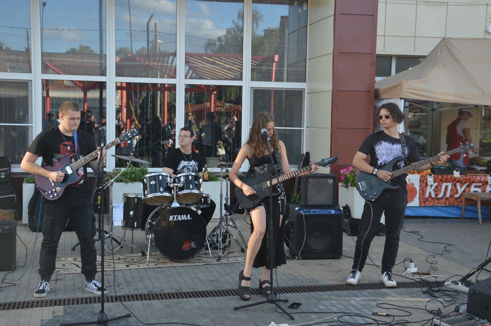 Шатура, панк-рок, концерт, Альма-матер, Альмаматер, Электрошок, Культурный Плюрализм