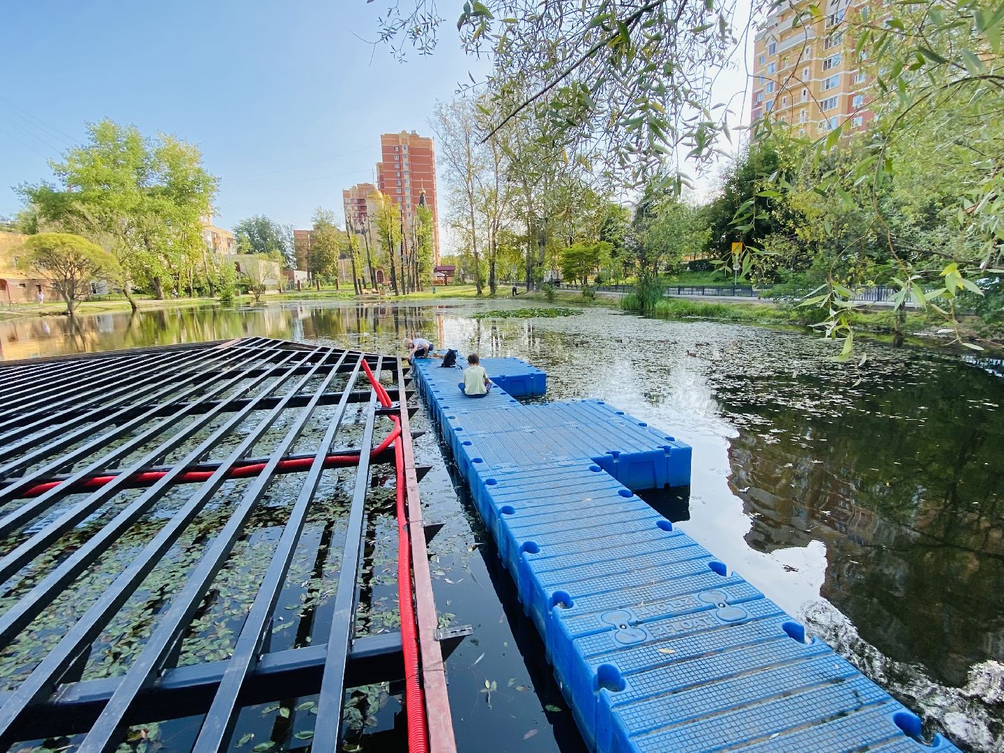 Балашиха, площадка для выгула собак, микрорайон Кучино