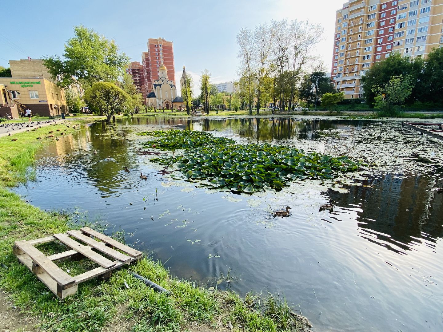 Балашиха, площадка для выгула собак, микрорайон Кучино