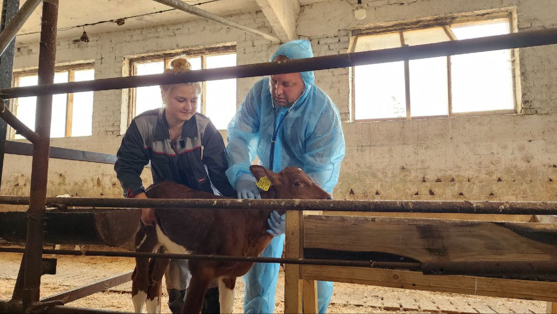 Дмитров, Мосагрофуд, Минсельхоз