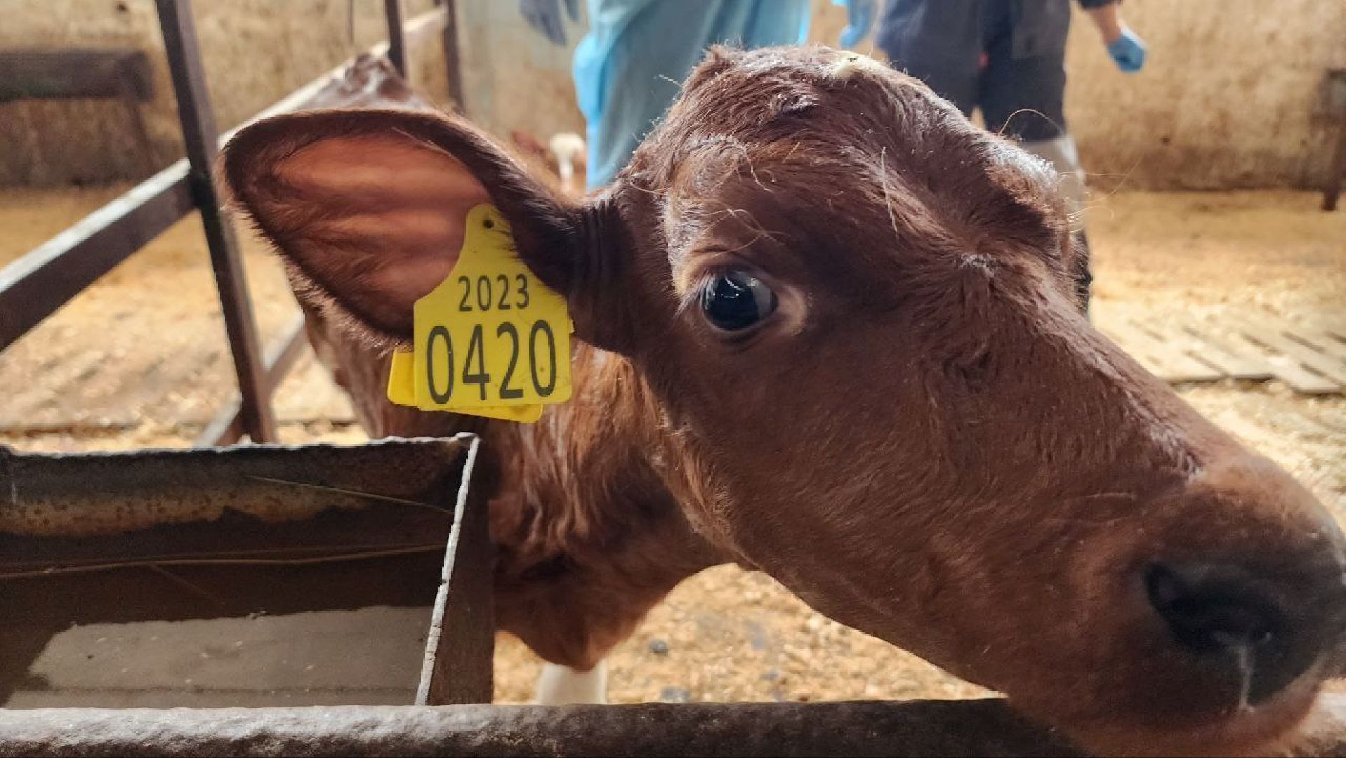 Дмитров, Мосагрофуд, Минсельхоз