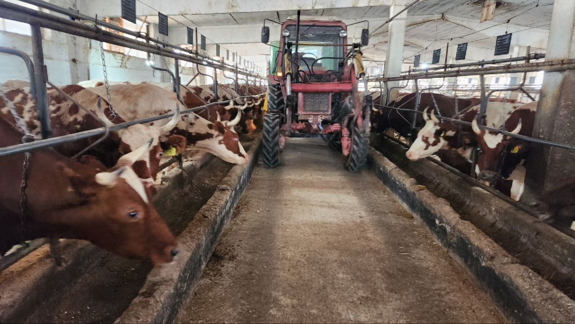 Дмитров, Мосагрофуд, Минсельхоз