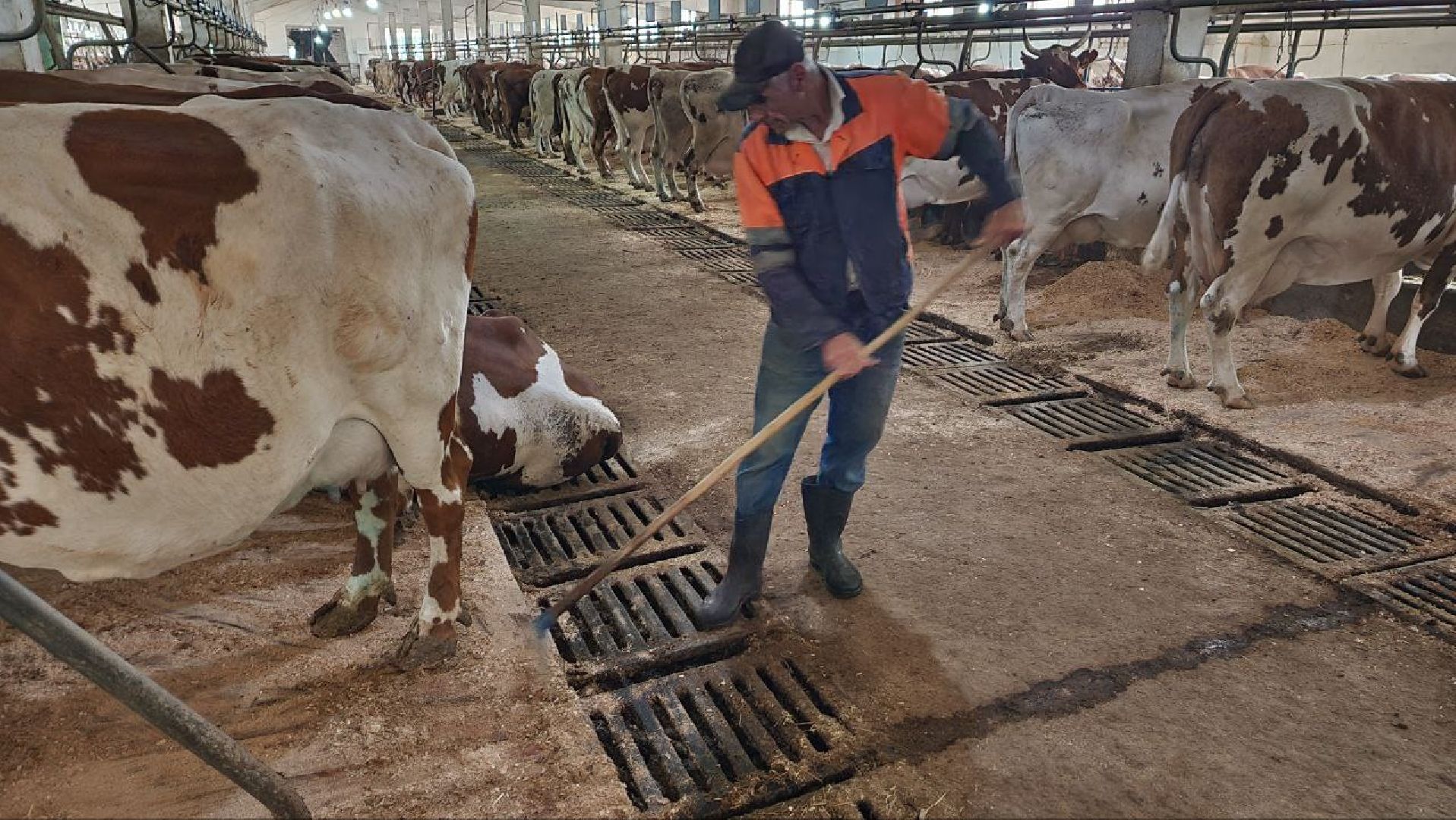 Дмитров, Мосагрофуд, Минсельхоз