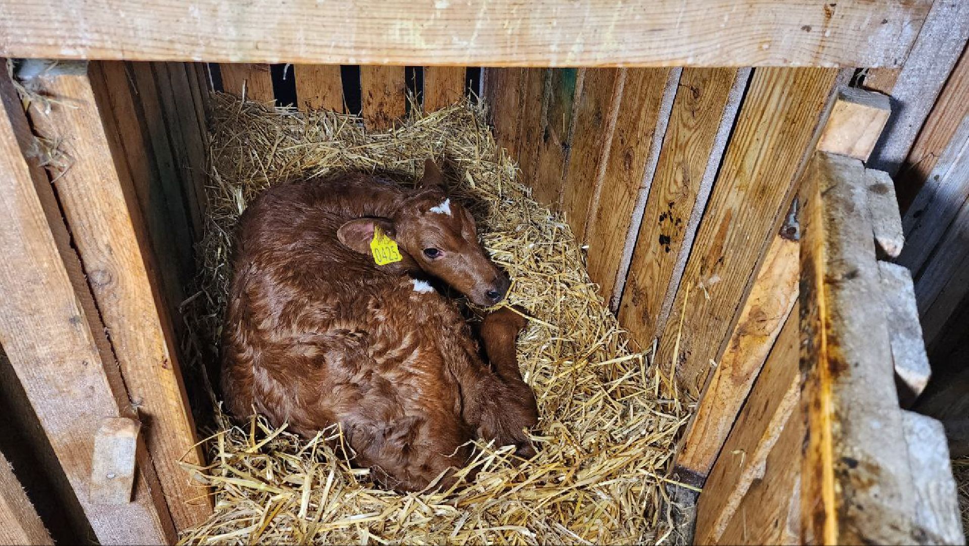 Дмитров, Мосагрофуд, Минсельхоз