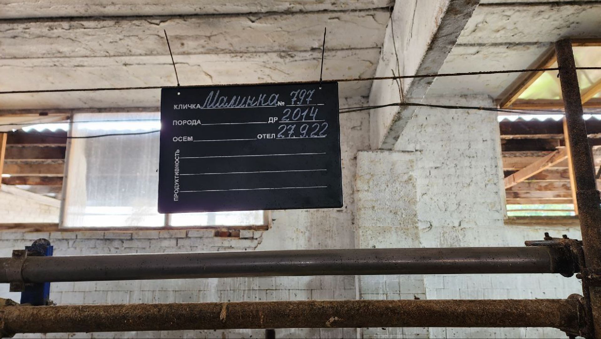 Дмитров, Мосагрофуд, Минсельхоз