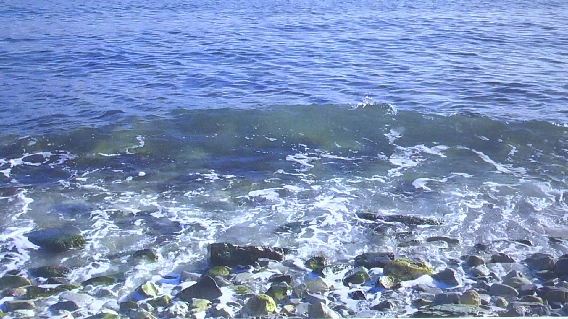 Реутов, выставка, музей, культура, Лапшины, фотокартины