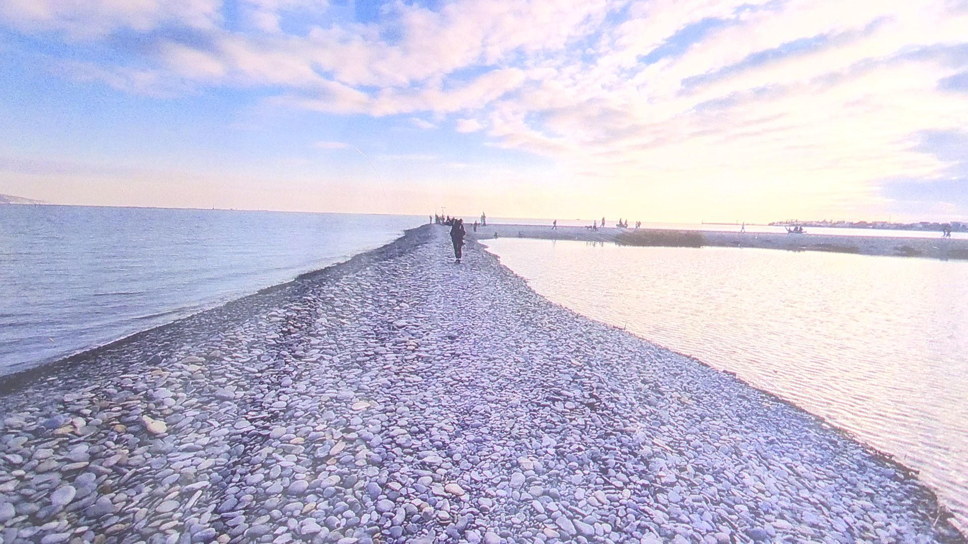 Реутов, выставка, музей, культура, Лапшины, фотокартины