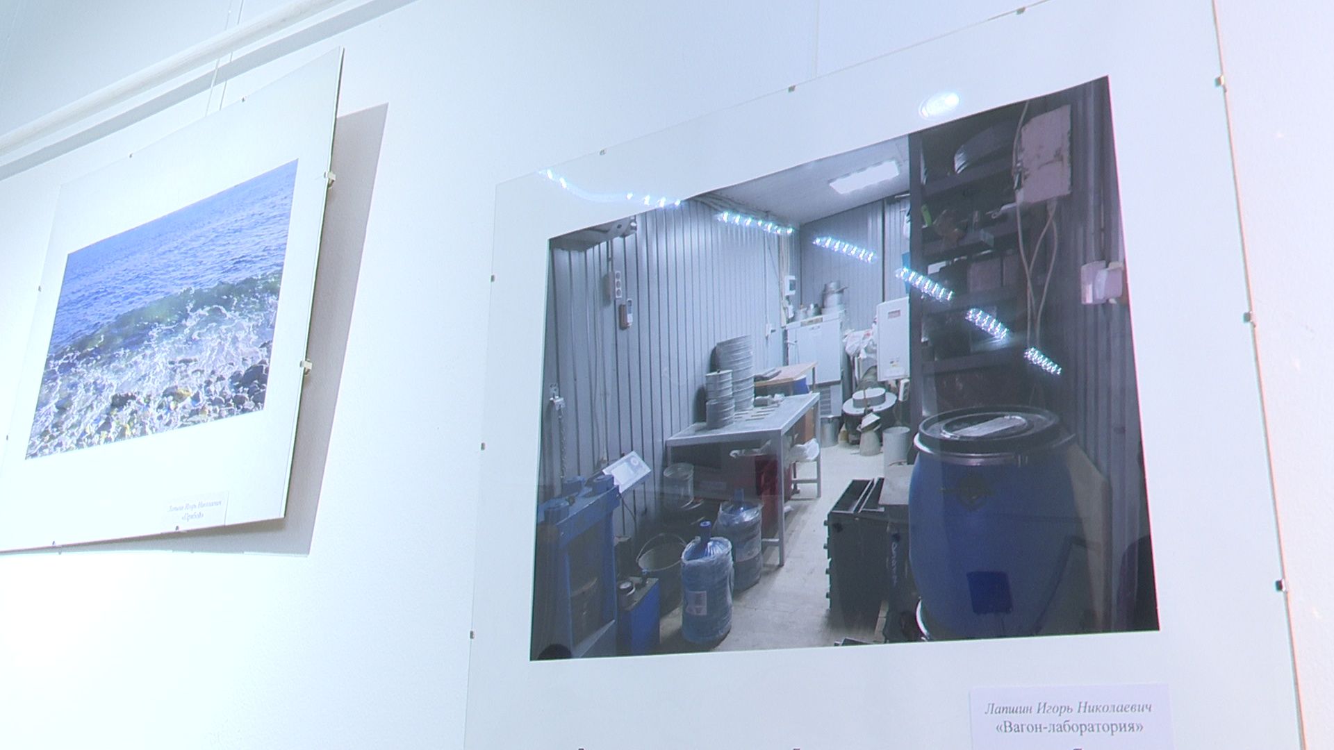 Реутов, выставка, музей, культура, Лапшины, фотокартины