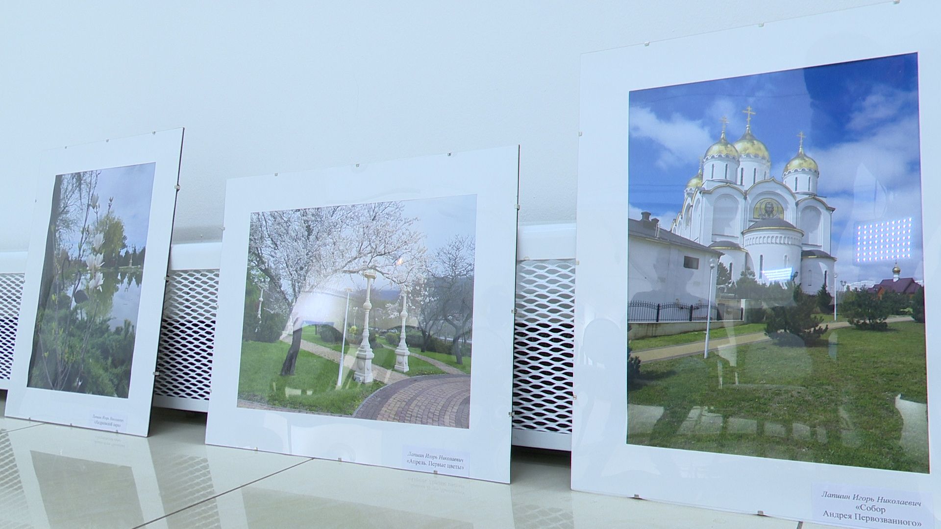 Реутов, выставка, музей, культура, Лапшины, фотокартины