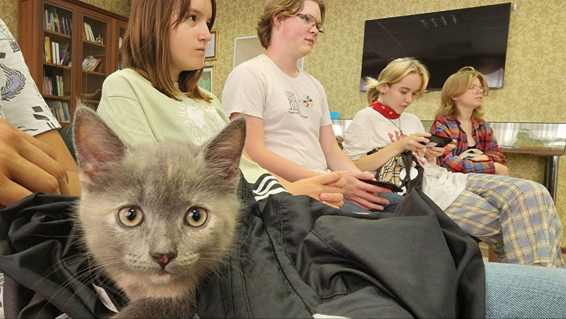 Дмитров, Сфера роста, Бизнес-тренинг