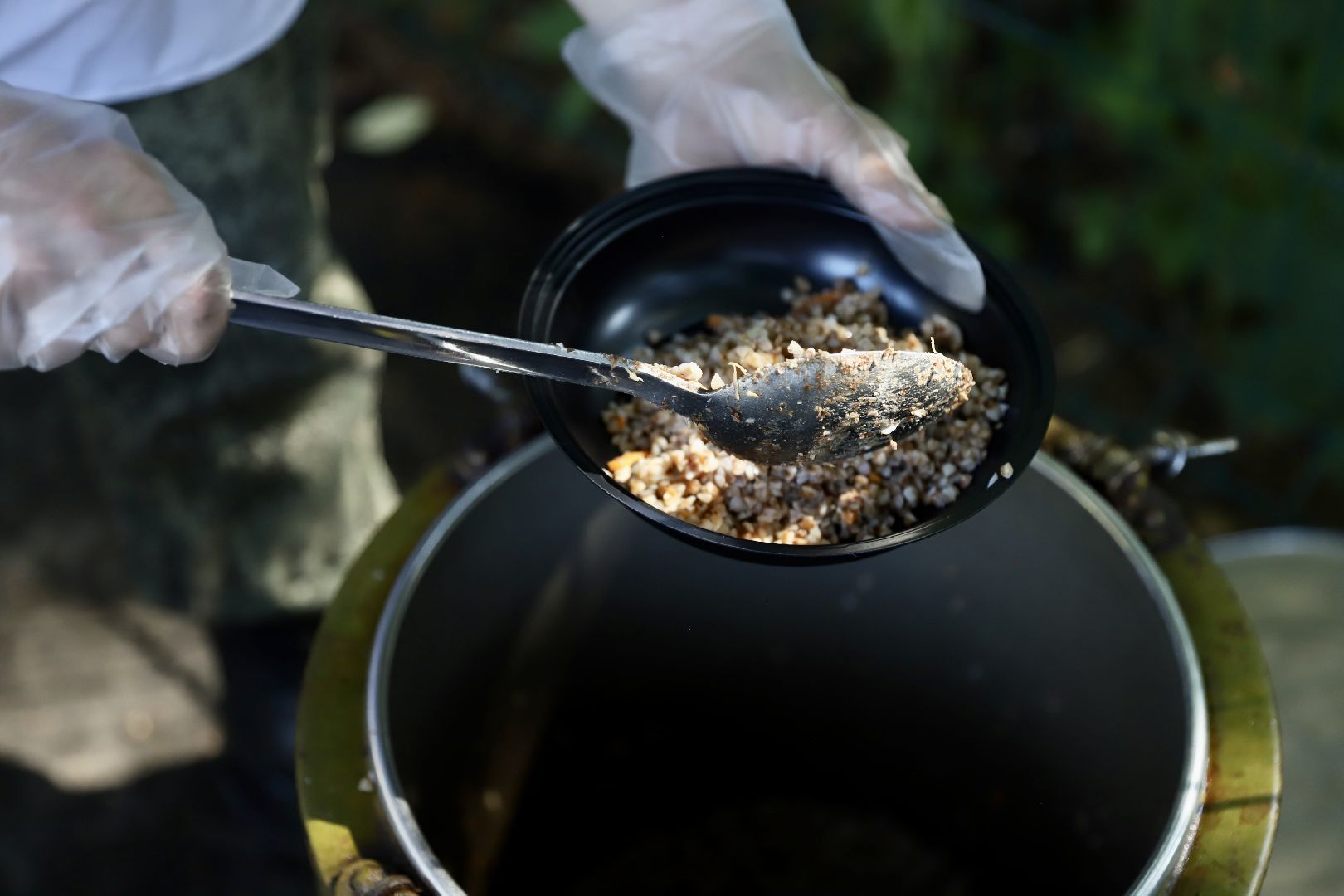 Солнечногорск, субботник, уборка, лес, жители