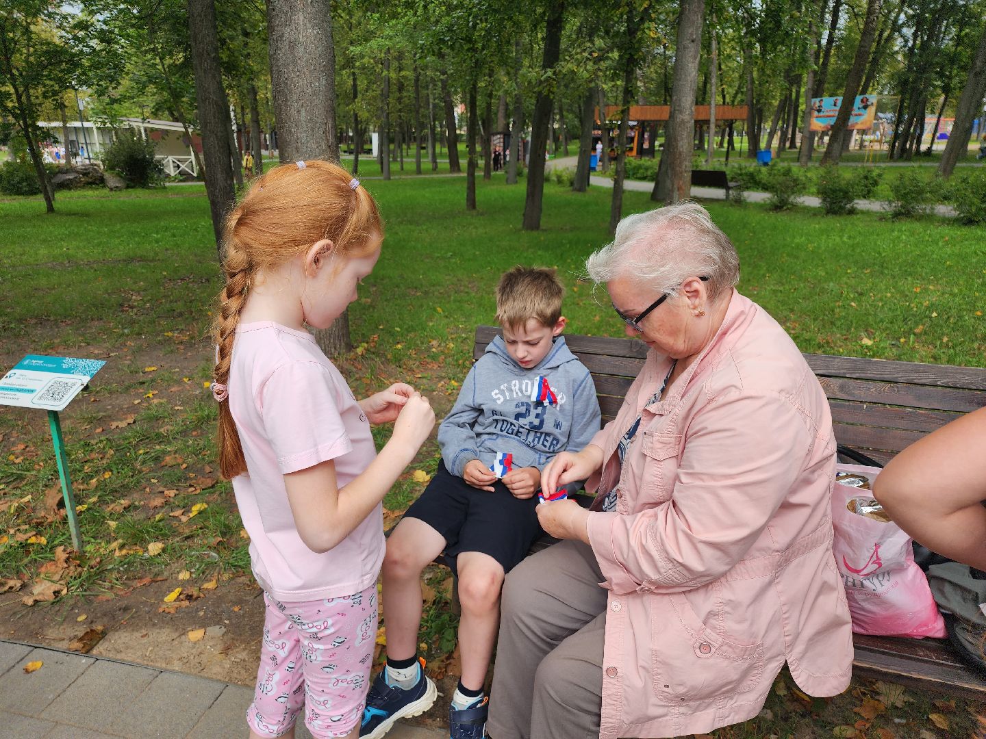 Серпухов, Подмосковье, День флага, парк, МГЕР, волонтеры, концерт