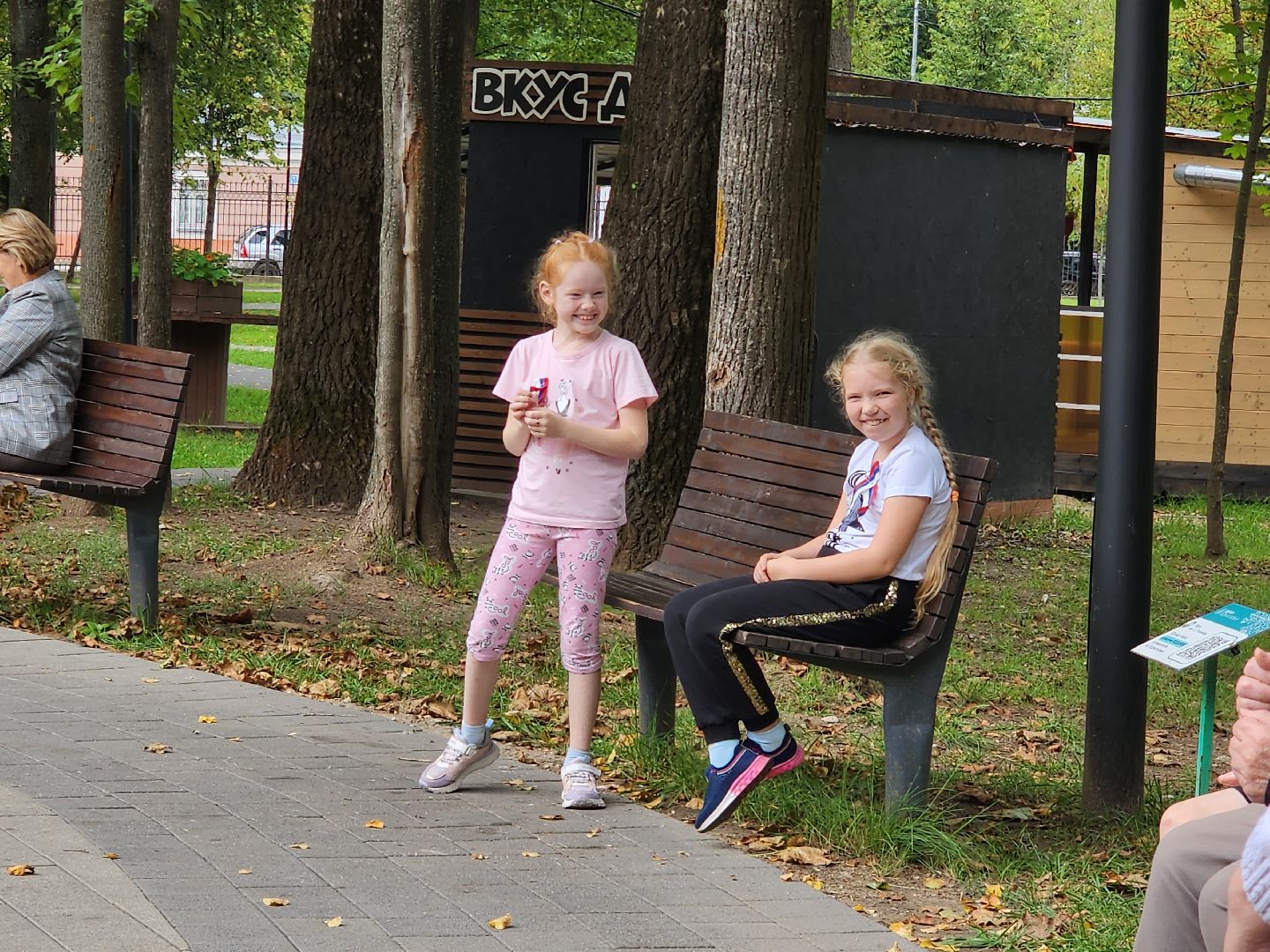 Серпухов, Подмосковье, День флага, парк, МГЕР, волонтеры, концерт