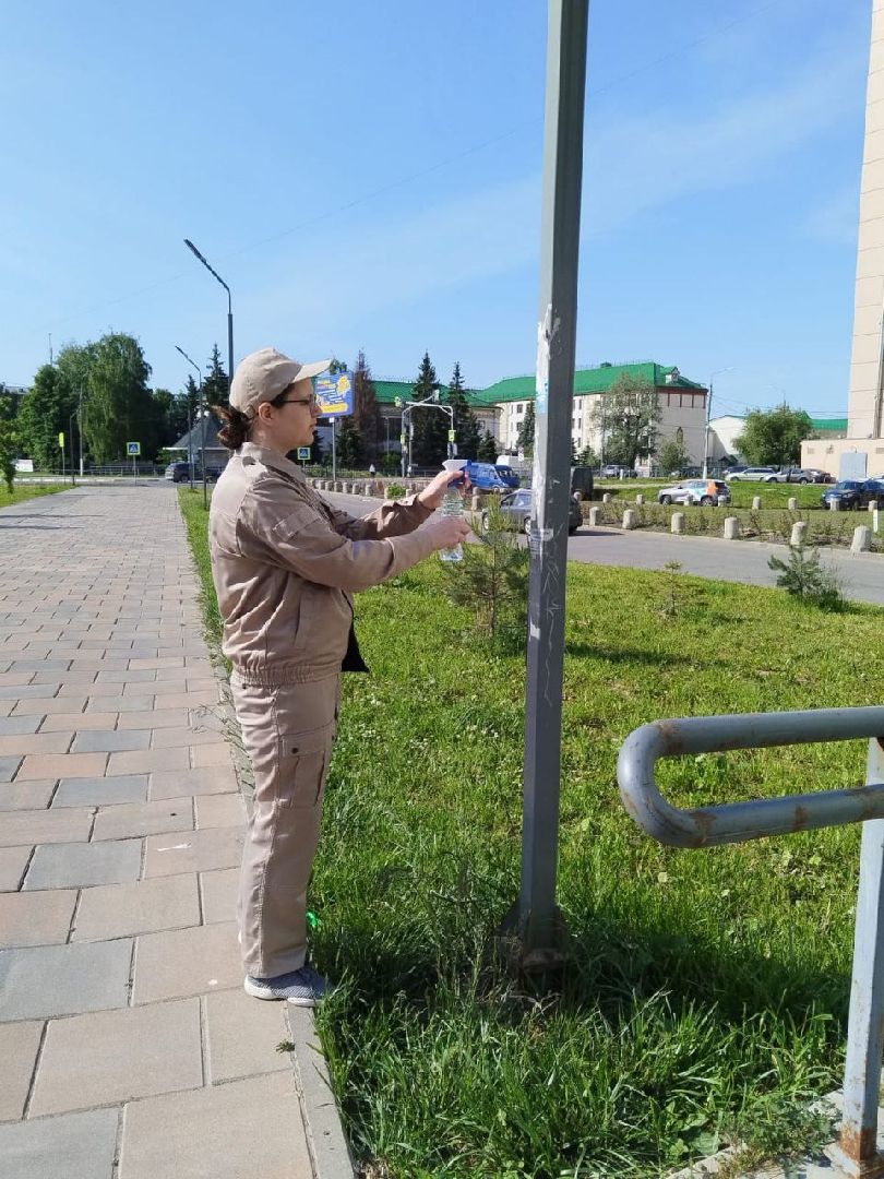 Долгопрудный, детские площадки, пешеходные зоны, молодежный патруль