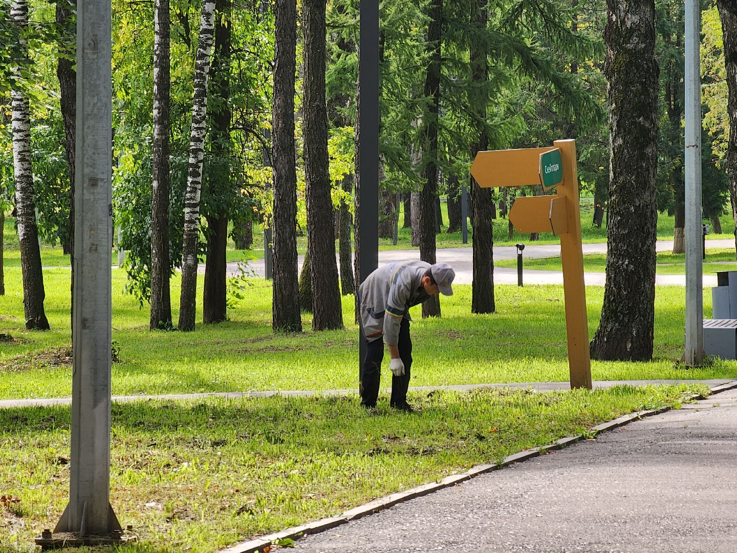 ивантеевка, парки, уборка,