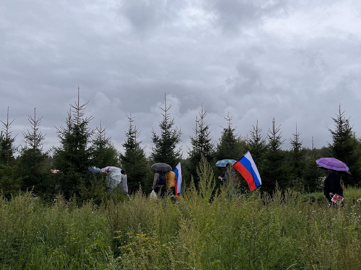 Шаховская, день российского флага, акция