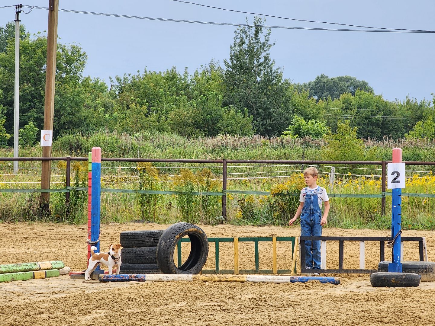 Конный клуб, лошади, спорт, Рыбхоз, Богородский городской округ