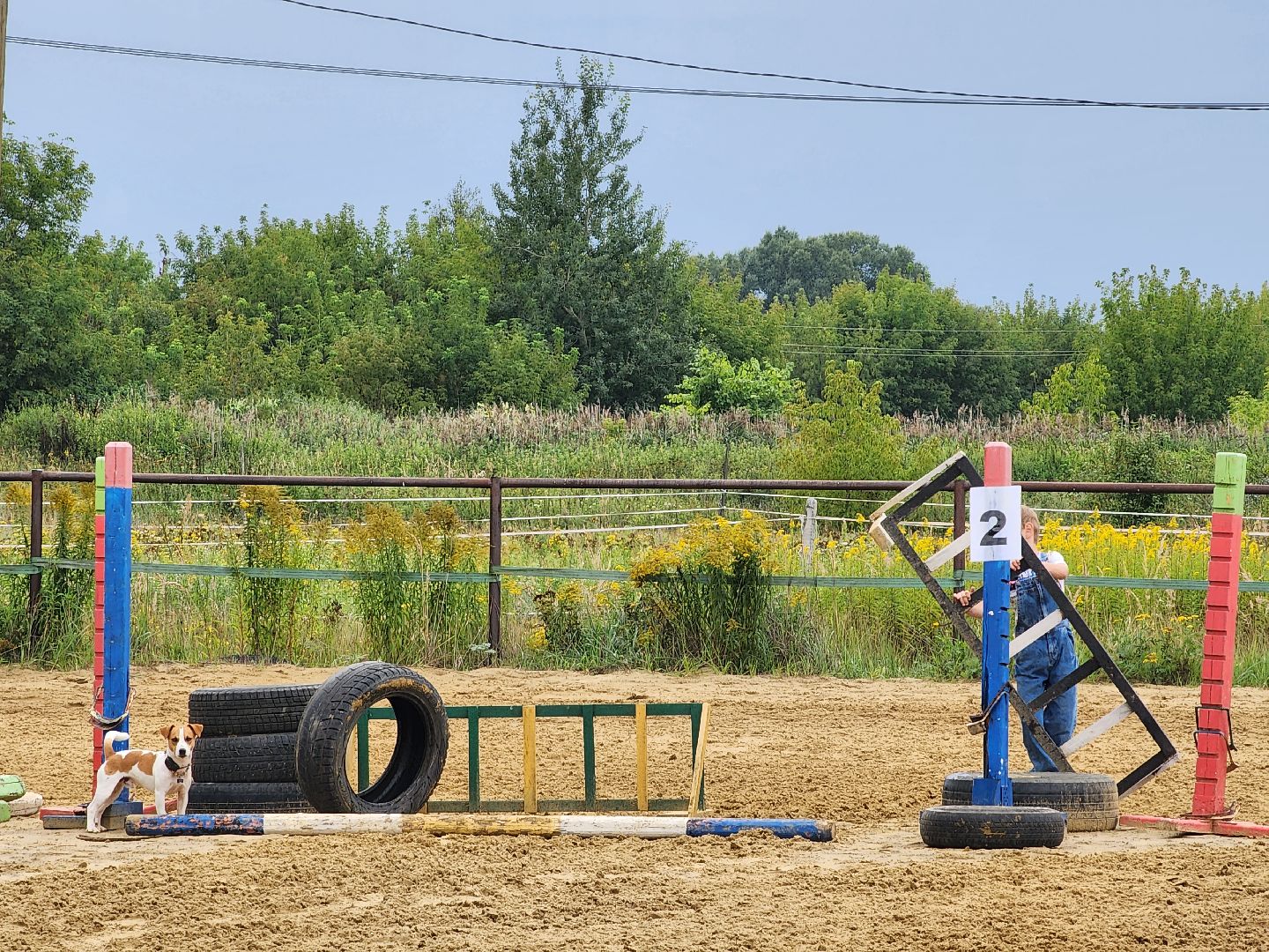 Конный клуб, лошади, спорт, Рыбхоз, Богородский городской округ