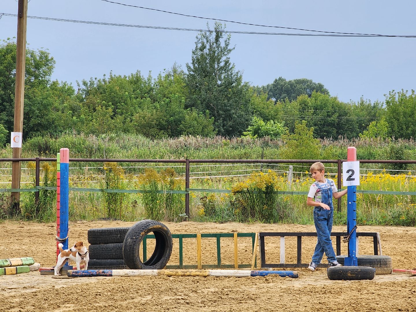 Конный клуб, лошади, спорт, Рыбхоз, Богородский городской округ