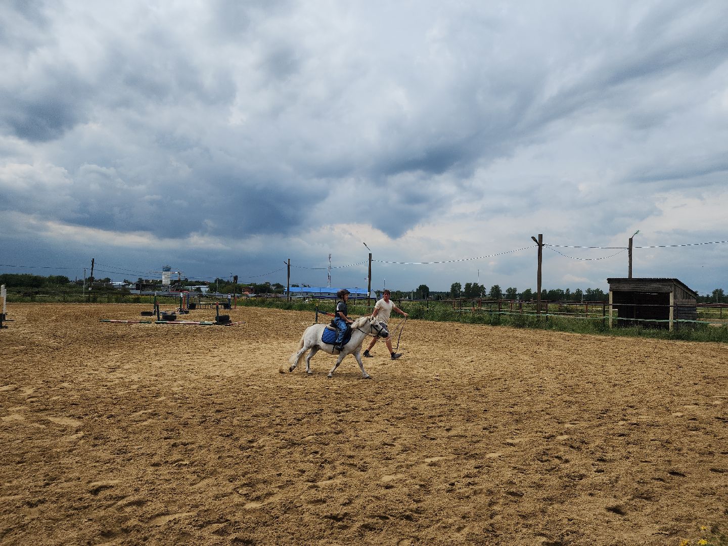 Конный клуб, лошади, спорт, Рыбхоз, Богородский городской округ