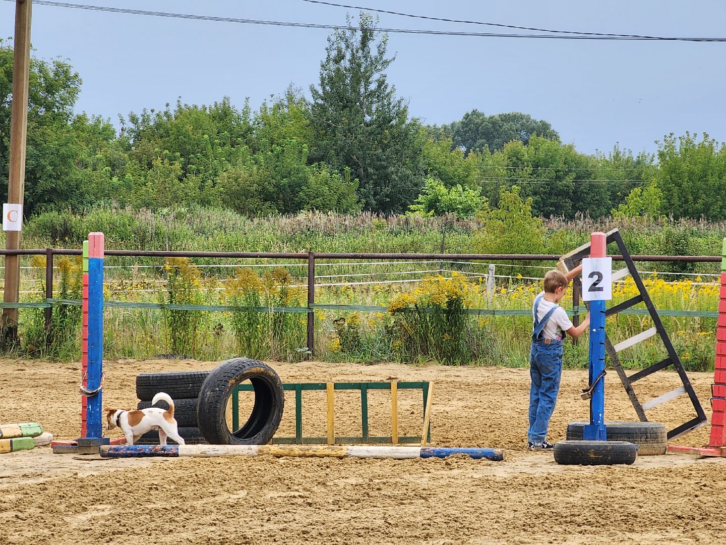 Конный клуб, лошади, спорт, Рыбхоз, Богородский городской округ