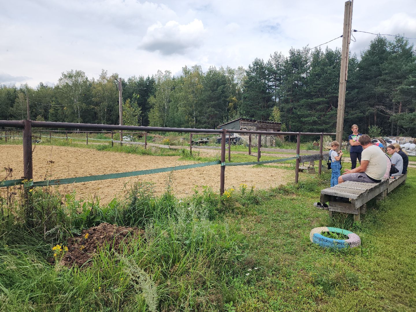 Конный клуб, лошади, спорт, Рыбхоз, Богородский городской округ