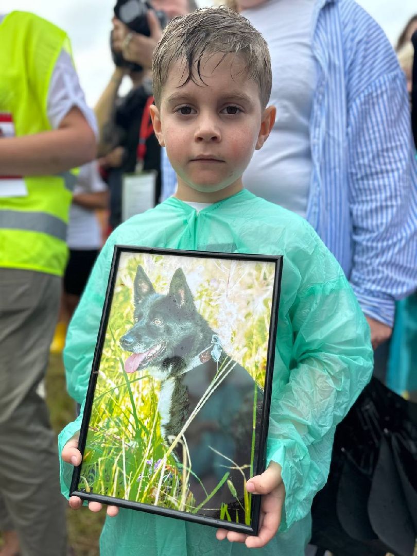 Можайск, Можайский городской округ, Подмосковье, день бездомных животных, собаки, приют, помощь, волонтёры, праздник