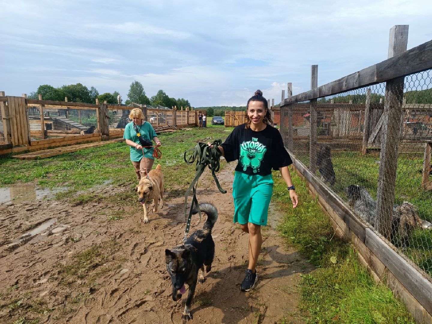 Можайск, Можайский городской округ, Подмосковье, день бездомных животных, собаки, приют, помощь, волонтёры, праздник