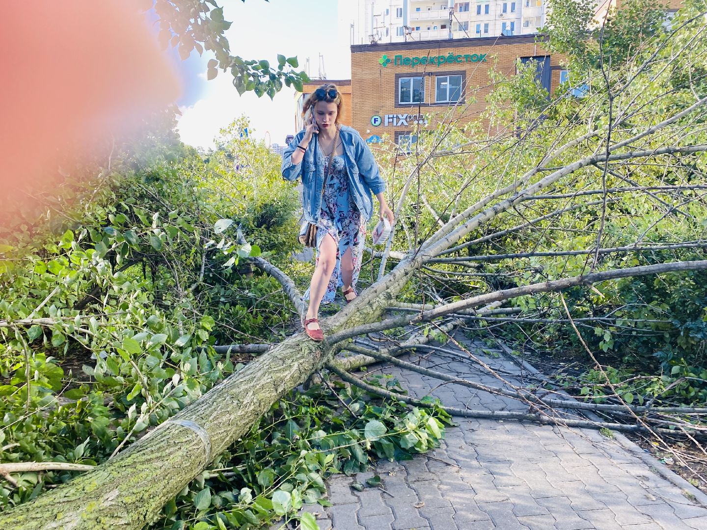 Балашиха, деревья, ликвидация последствий непогоды,