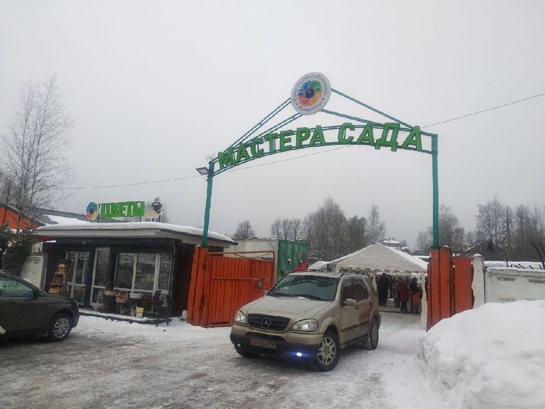 Дмитров, Тюльпанов день, Мастера сада, 8 марта