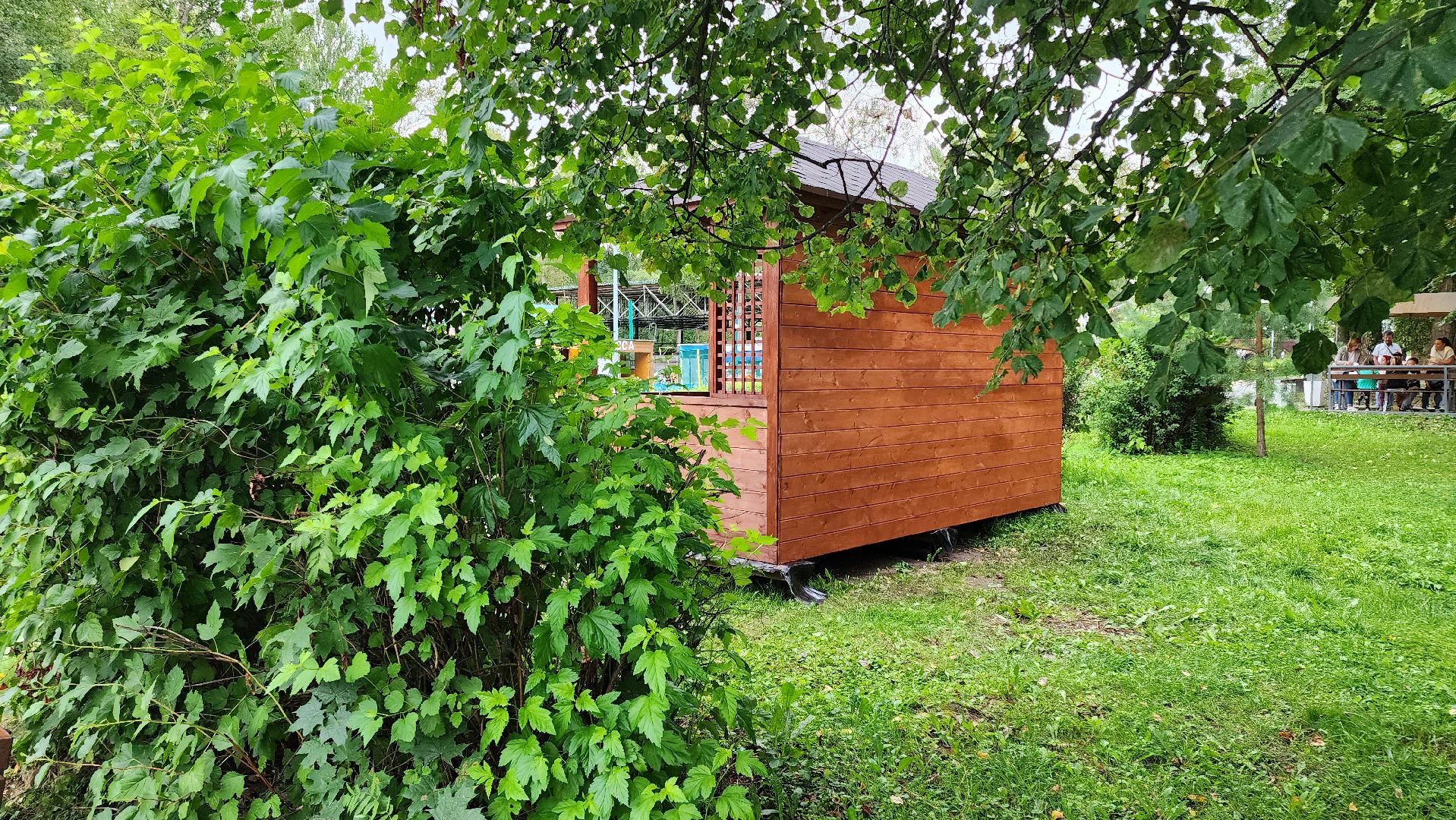 Кашира, парк, книги, буккроссинг, благоустройство