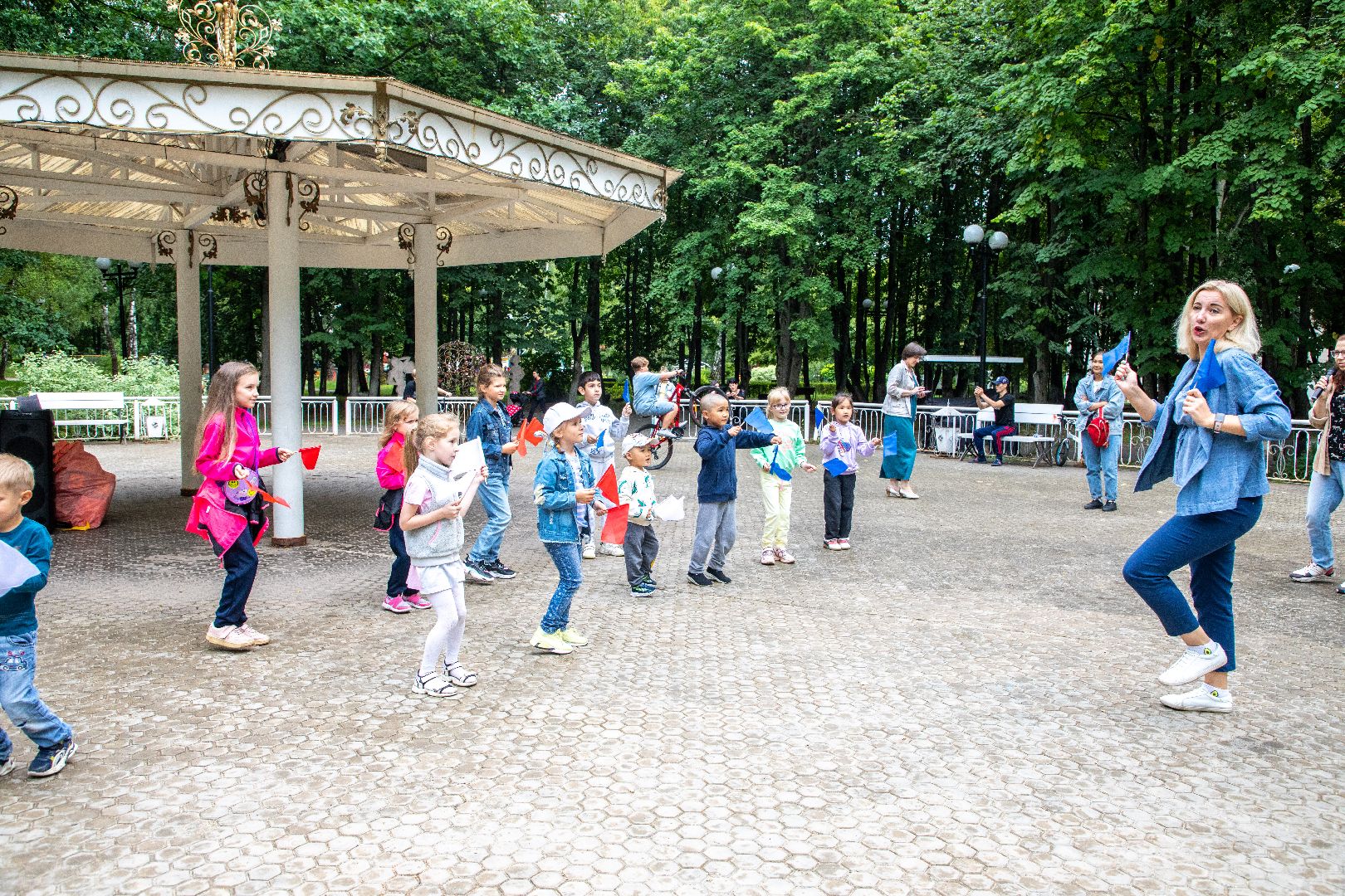 лыткарино, общество, флаг, праздник, парк,