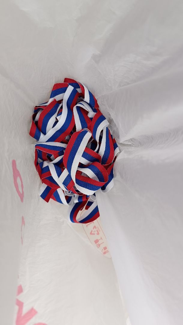 Лобня, парк, праздник