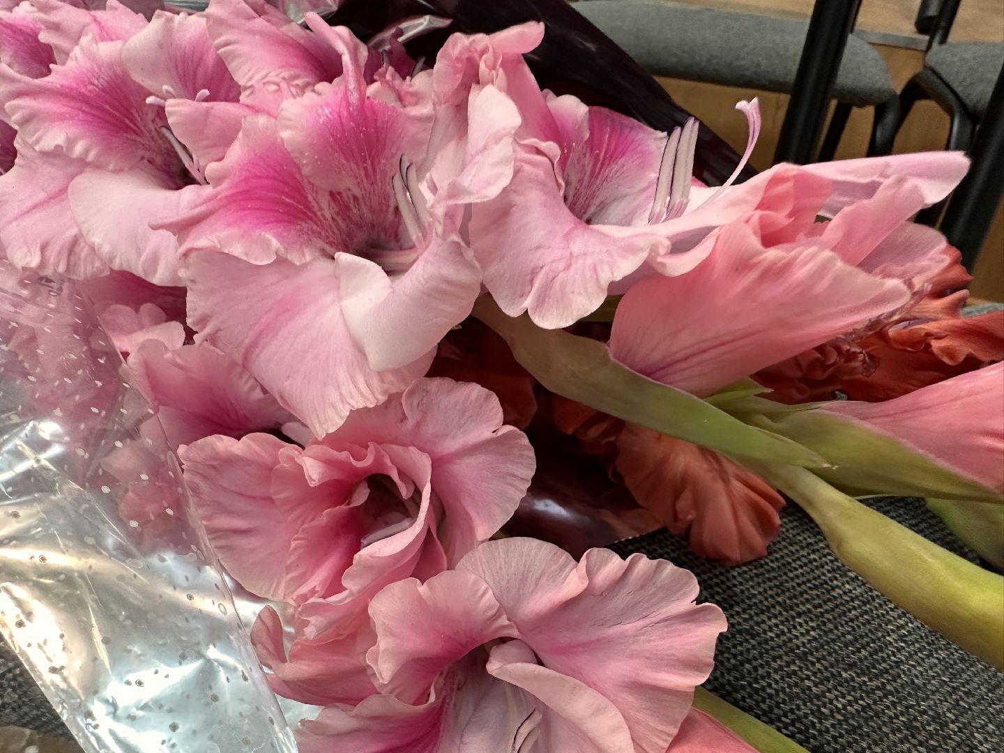 Одинцово, Любительский театр, Немчиновка, Театральная неделя