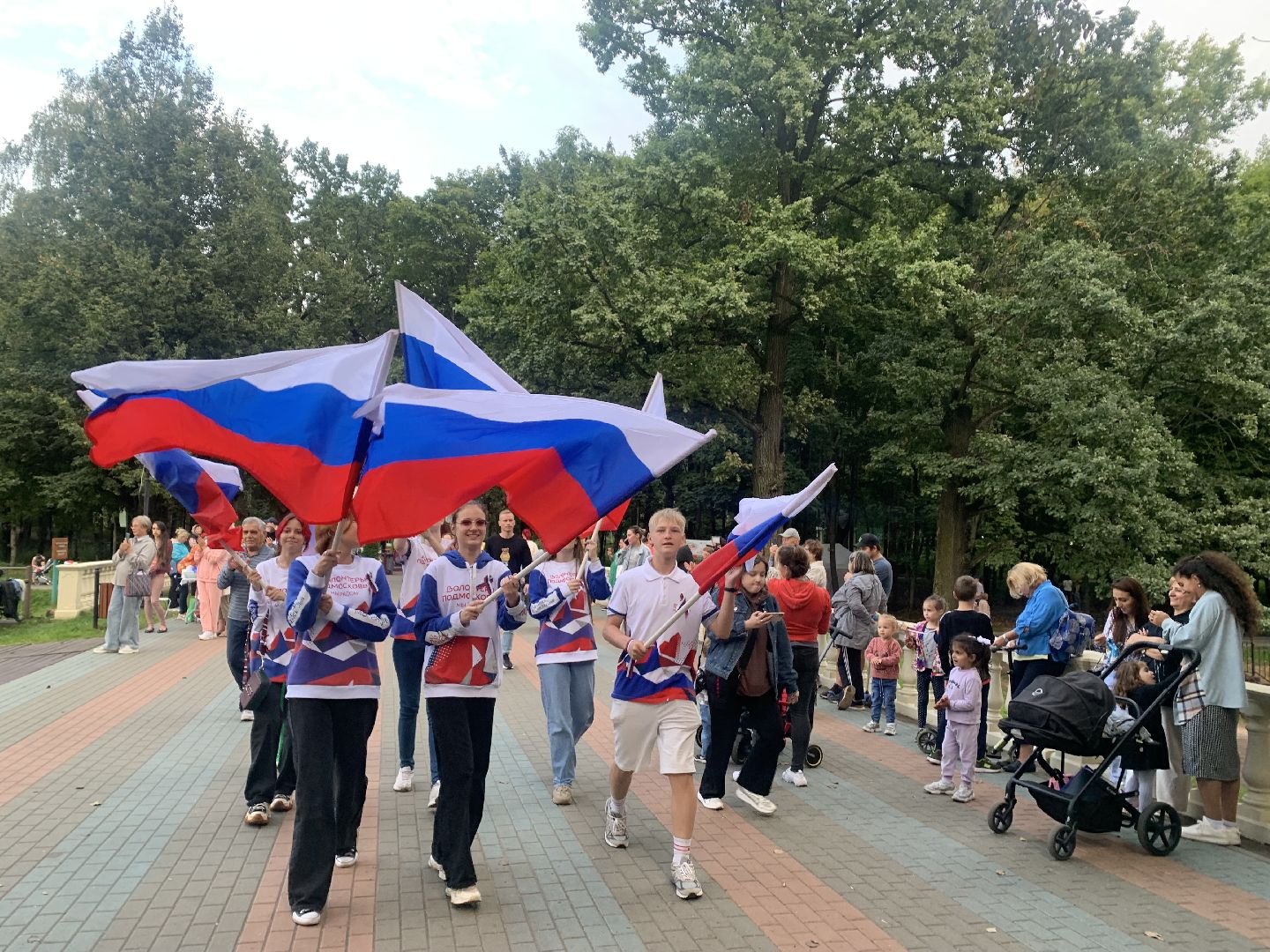 Шествие, флаг россии, флаг, волонтеры, волонтеры подмосковья,