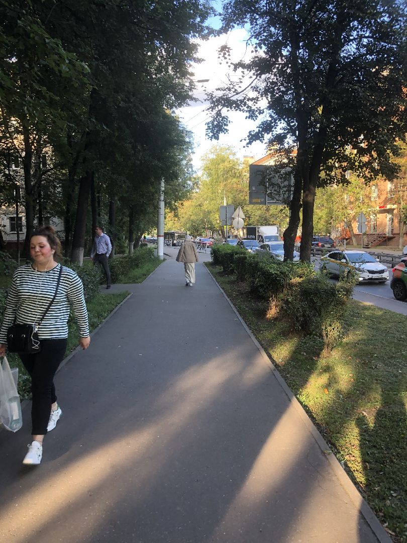 Дворы, Химки, губернатор подмосковья,