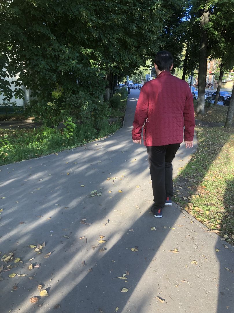 Дворы, Химки, губернатор подмосковья,