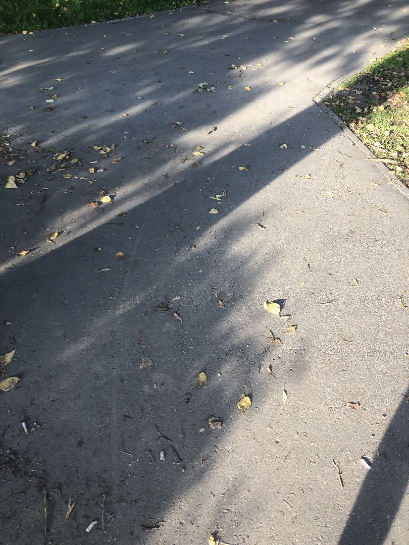 Дворы, Химки, губернатор подмосковья,