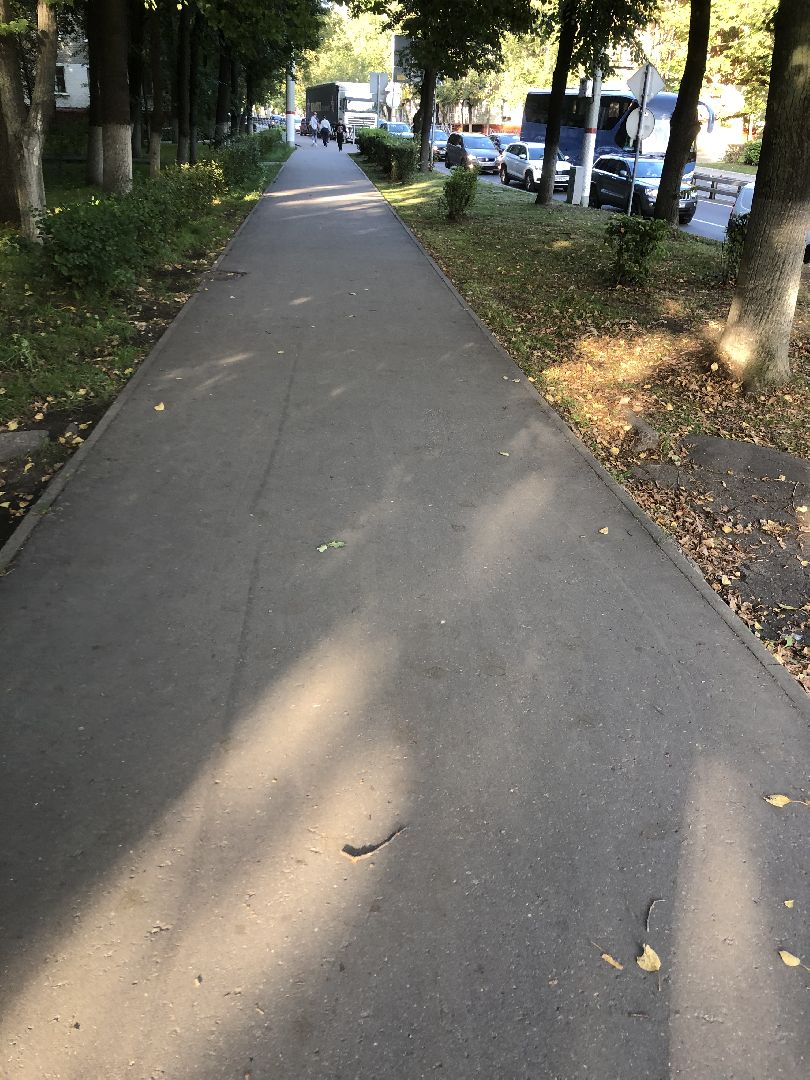 Дворы, Химки, губернатор подмосковья,