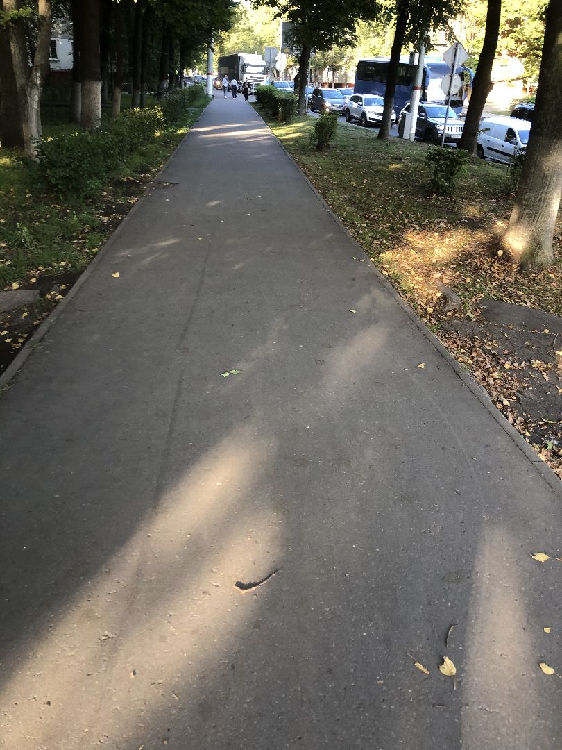 Дворы, Химки, губернатор подмосковья,