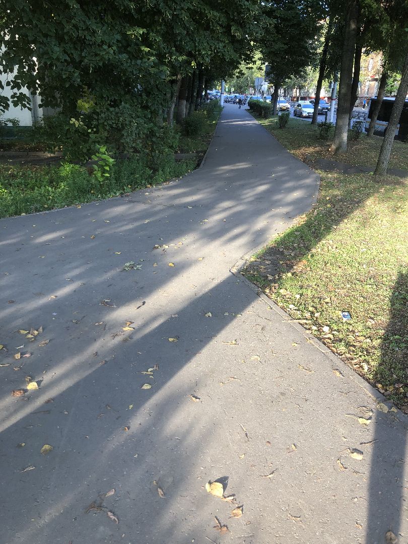 Дворы, Химки, губернатор подмосковья,