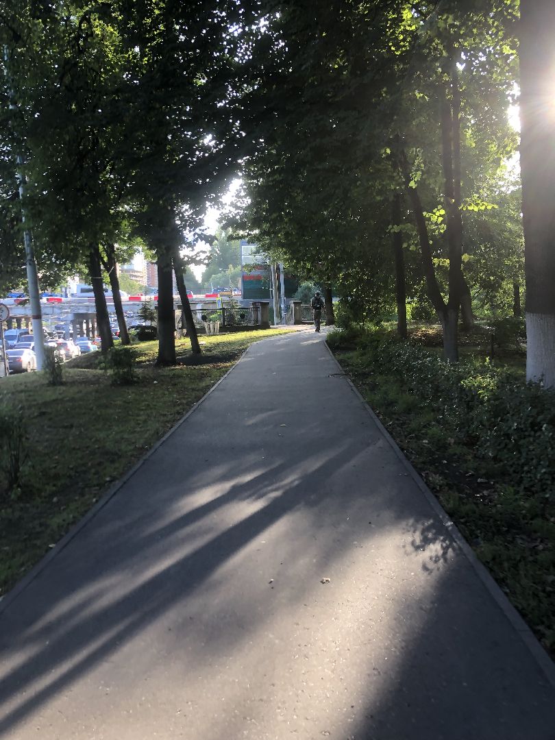 Дворы, Химки, губернатор подмосковья,